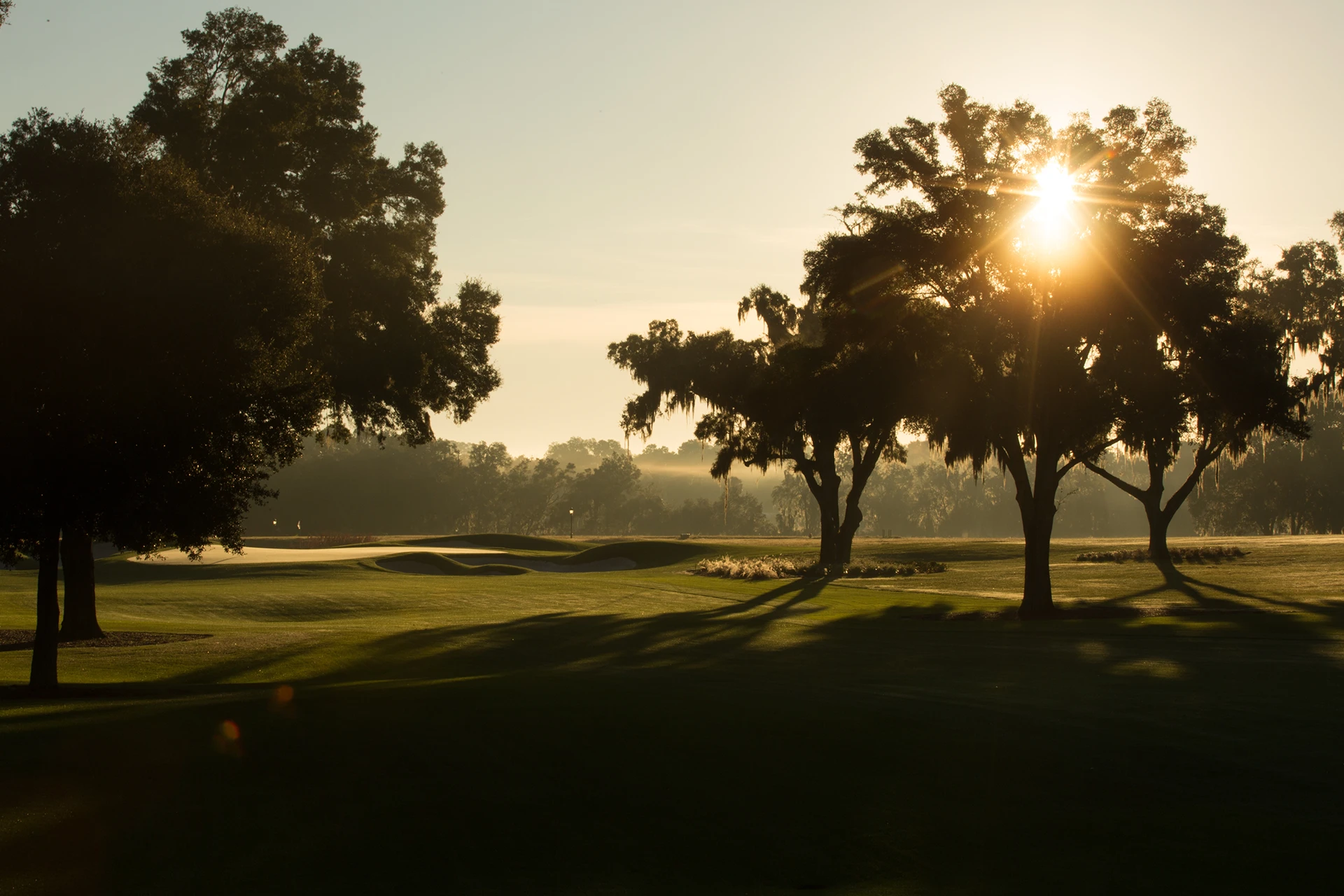 Morning sunlight filters through mature oak trees overlooking the championship golf course at The Club at Iron Lake.